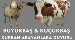 Büyükbaş ve Küçükbaş Kurbanlık Arayanlara DUYURU