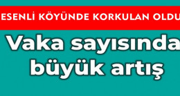 Esenli Köyünde Vaka Sayıları Artıyor