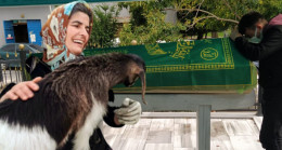 Emine Alarçin Vefat Etti