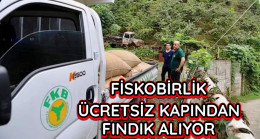 Fiskobirlik Fındığı Kapınızdan Alıyor.1TL Fazla Veriyor