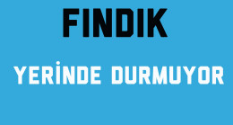 Fındık Yerinde Durmuyor
