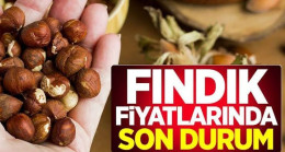 Fındık Fiyatı Coştu