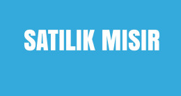 SATILIK MISIR