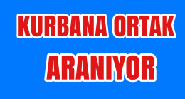 Kurbana Ortak Aranıyor