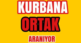 Kurbana Ortak Aranıyor