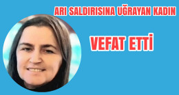 Arı Saldırına Uğrayan Kadın Vefat Etti