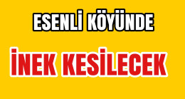 Esenli Köyünde İnek Kesilecek Et Almak İsteyenlere Duyurulur