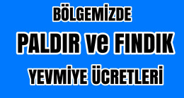 Bölgemizde Fındık Yevmiyesi ve Paldır Yevmiyesi