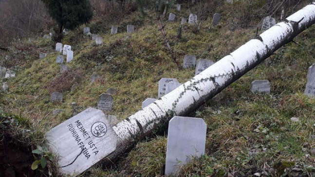 Şiddetli Rüzgara Ağaç Bile Dayanamadı