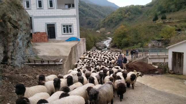 Yüksel Hıdır’ın Yayla Göçü