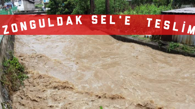 Zonguldak Sel’e Teslim