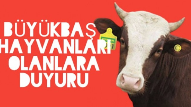 Esenli Köyünde Büyükbaş Hayvanı Olanlara Önemli Duyuru