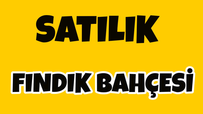Satılık Fındık Bahçesi| Ordu|Perşembe