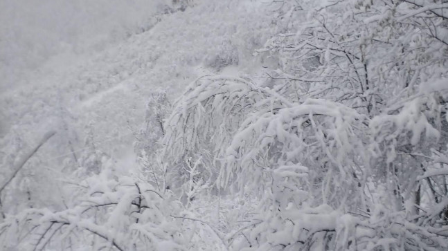 Güvendik Köyünden Kar Görüntüleri