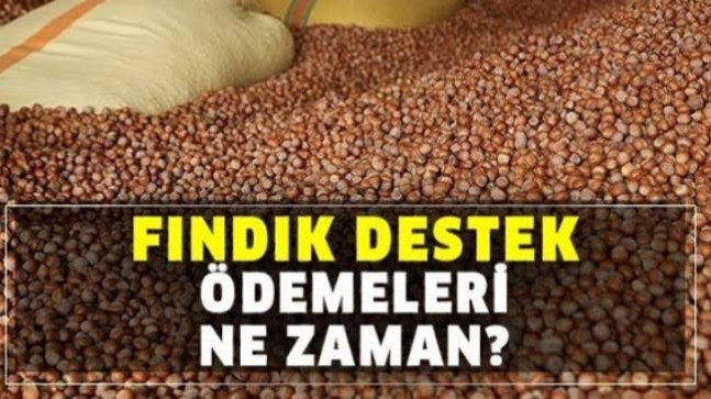 Fındık Destek Ödeme İcmal Listesi Askıya Çıktı