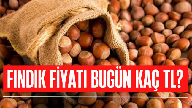 Fındık Bu gün Kaç TL