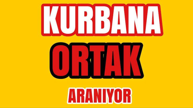 Kurbana Ortak Aranıyor