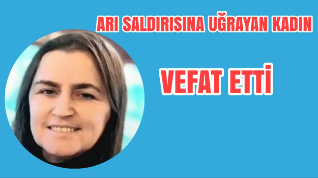 Arı Saldırına Uğrayan Kadın Vefat Etti