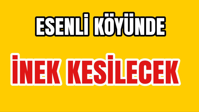 Esenli Köyünde İnek Kesilecek Et Almak İsteyenlere Duyurulur
