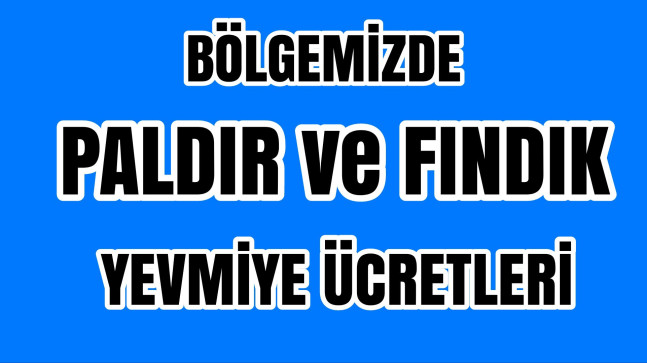 Bölgemizde Fındık Yevmiyesi ve Paldır Yevmiyesi