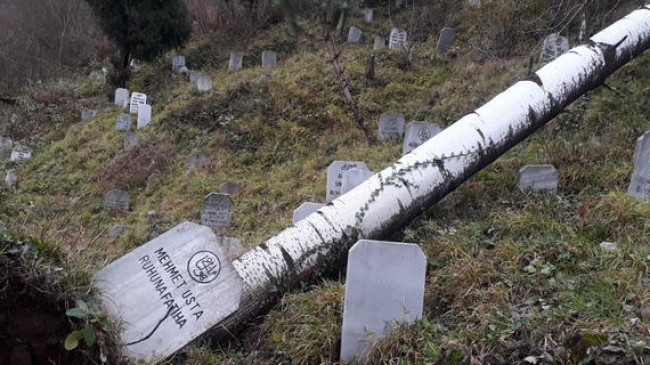 Şiddetli Rüzgara Ağaç Bile Dayanamadı