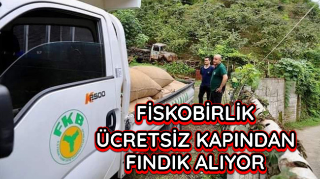 Fiskobirlik Fındığı Kapınızdan Alıyor.1TL Fazla Veriyor