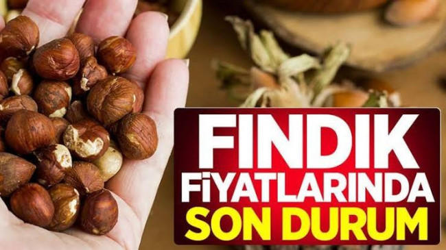 Fındık Fiyatı Coştu