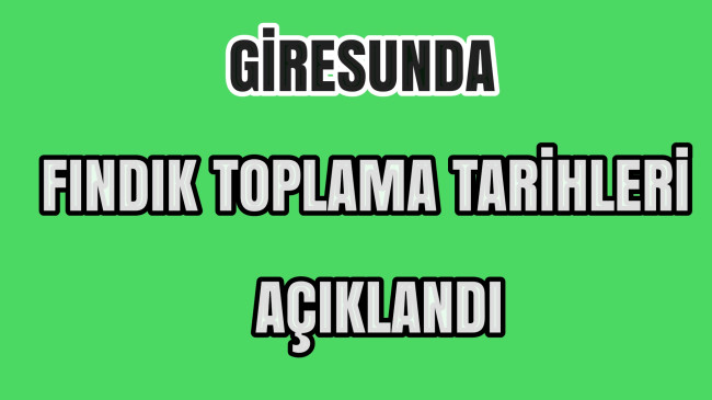 Giresunda Fındık Toplama Tarihleri Açıklandı