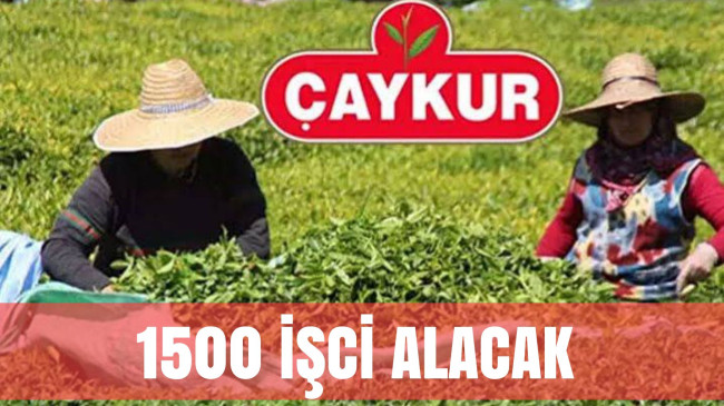 Çaykur’a 1500 Kişi Alınacak