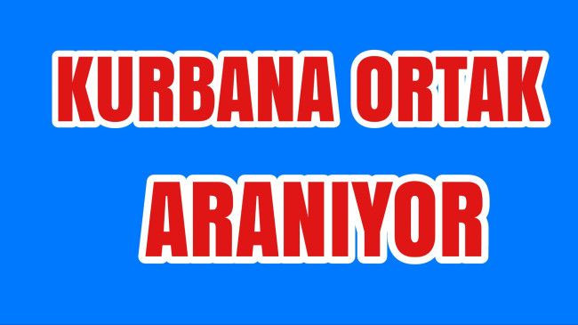 Kurbana Ortak Aranıyor