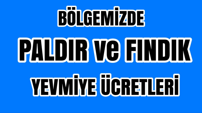 Bölgemizde Fındık Yevmiyesi ve Paldır Yevmiyesi