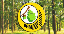 Orman Genel Müdürlüğü 2080 Geçici İşci Alacak