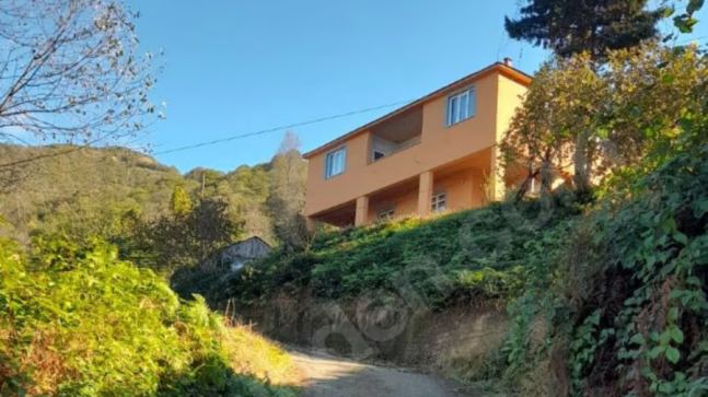 Ege Köyde Satılık  Ev ve Çay Bahçesi